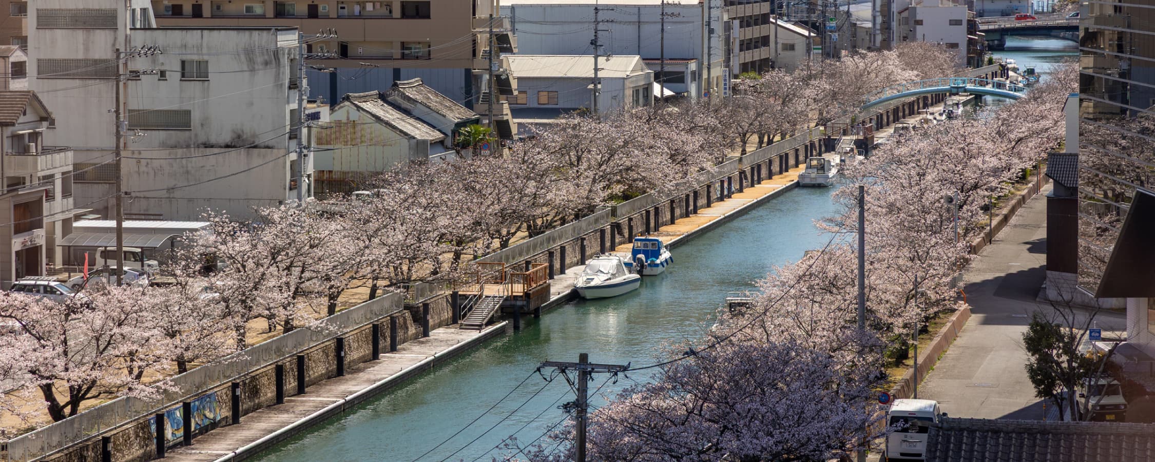 骨粗鬆症について