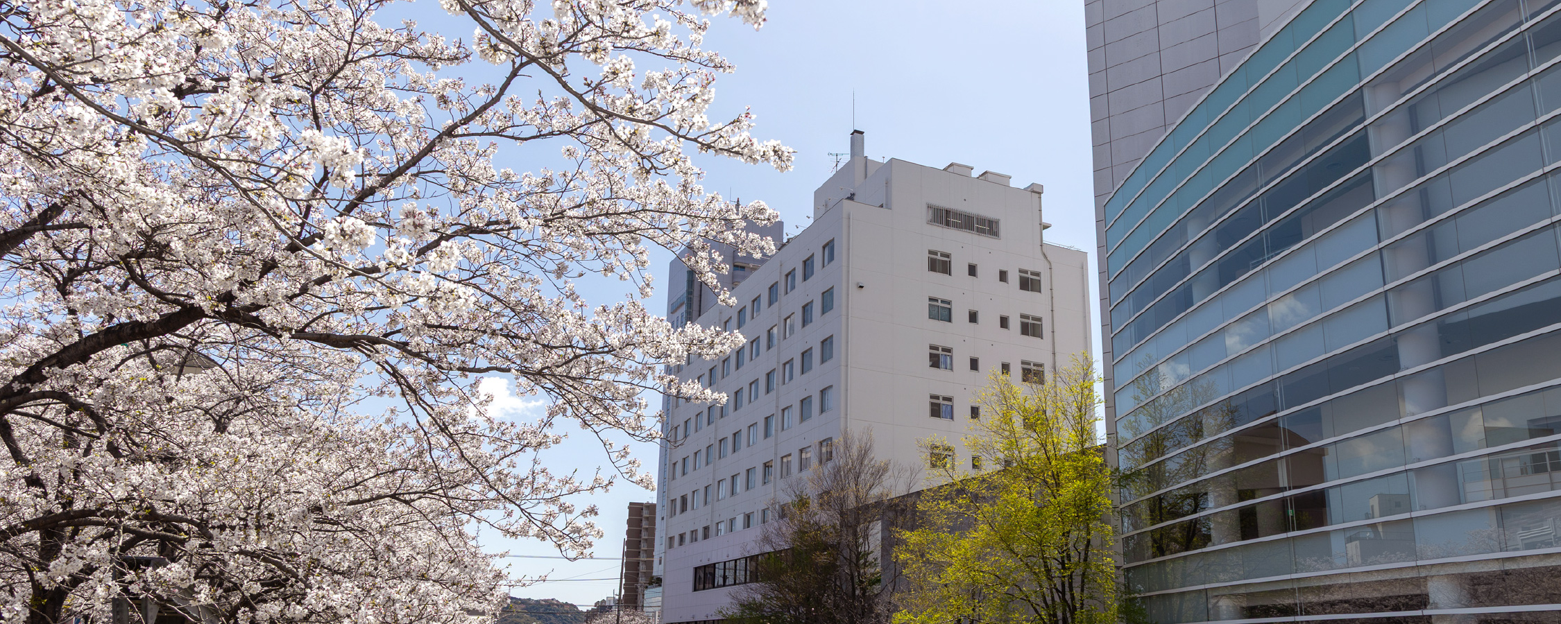 外来リハビリテーション